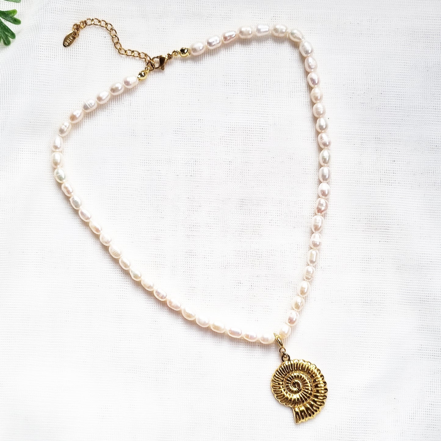 Dainty Pearl Nautilus Seashell Necklace Gold