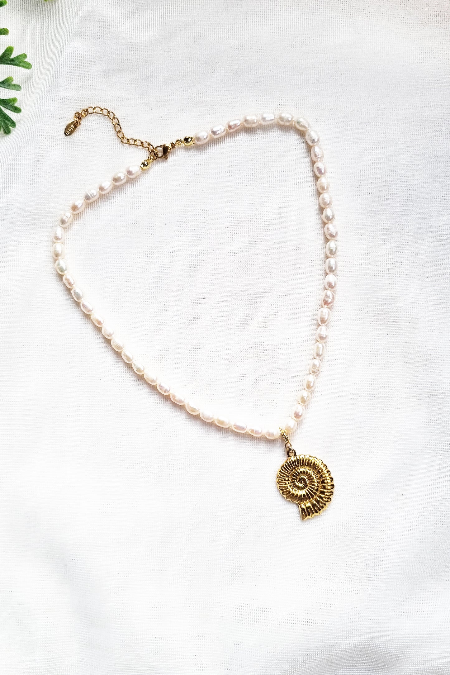 Dainty Pearl Nautilus Seashell Necklace Gold